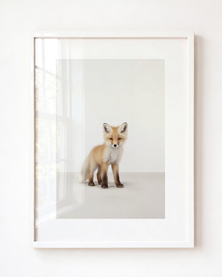 Studio Fox Art Print