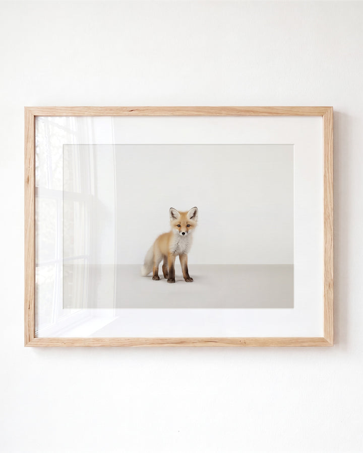 Studio Fox Art Print