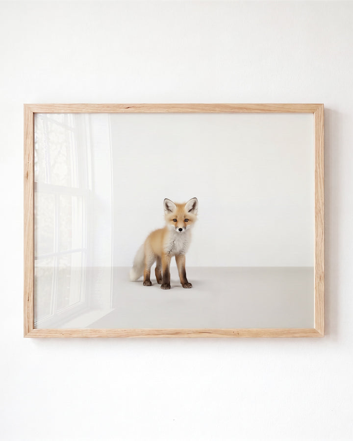 Studio Fox Art Print