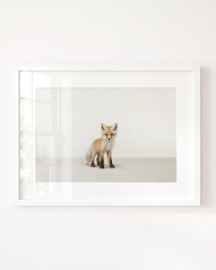 Studio Fox Art Print
