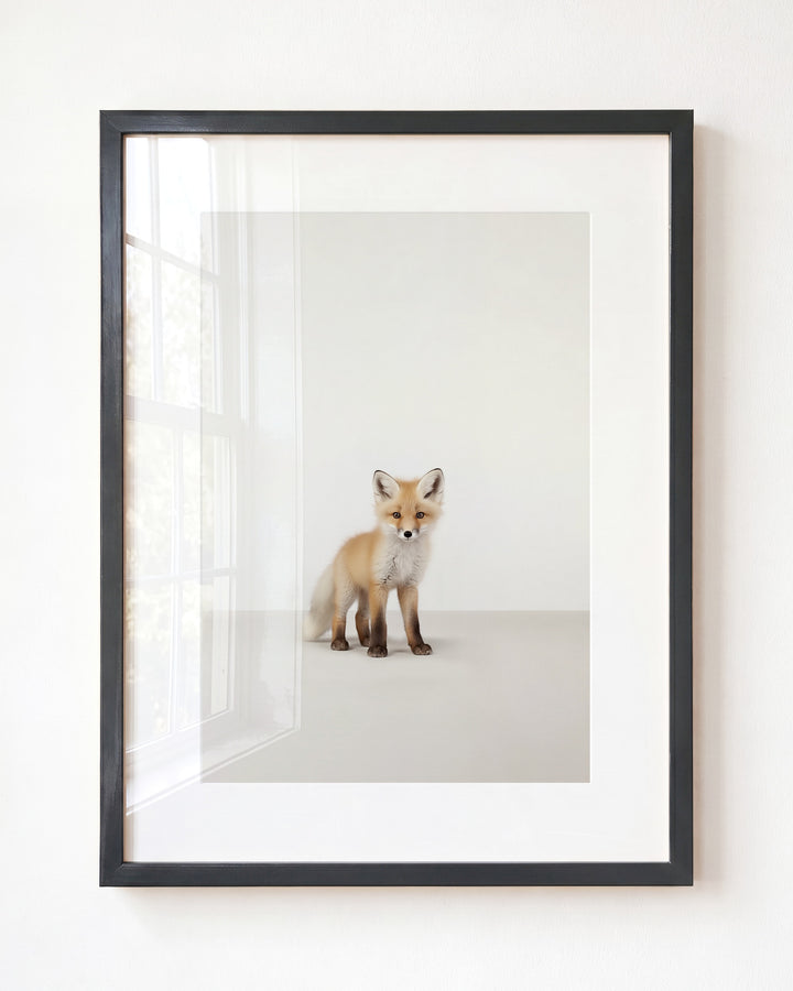 Studio Fox Art Print