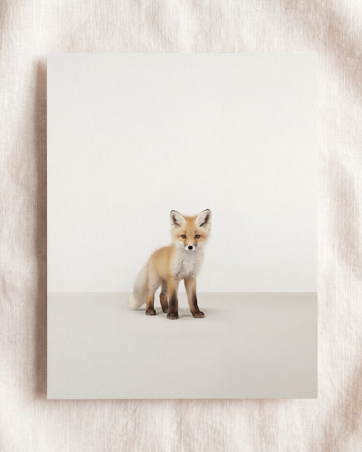 Studio Fox Art Print