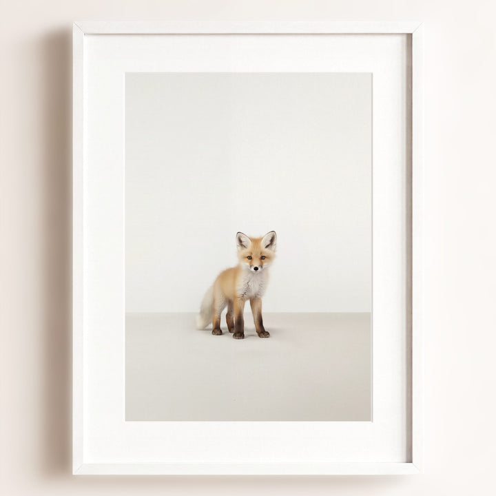Studio Fox Art Print