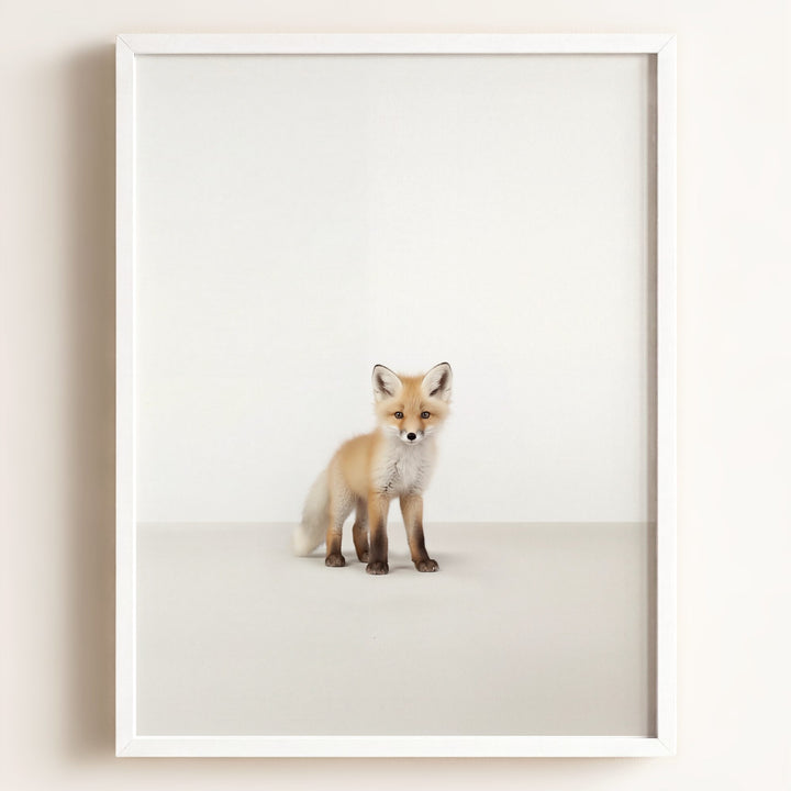 Studio Fox Art Print