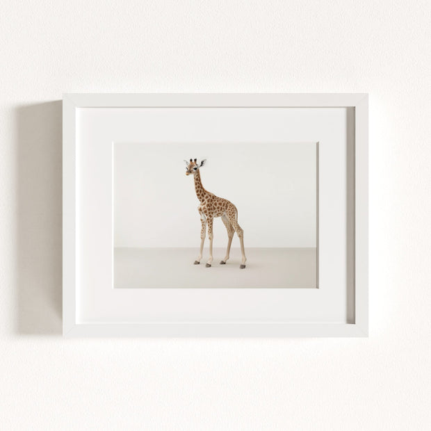 Studio Giraffe Art Print
