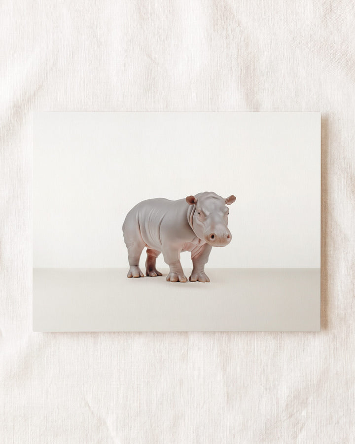 Studio Hippo Art Print