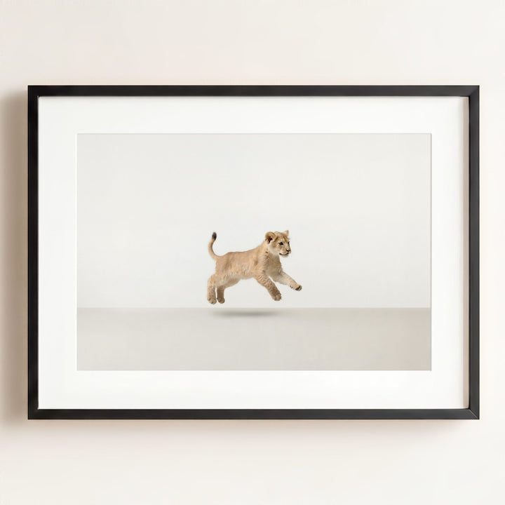 Studio Lion Art Print