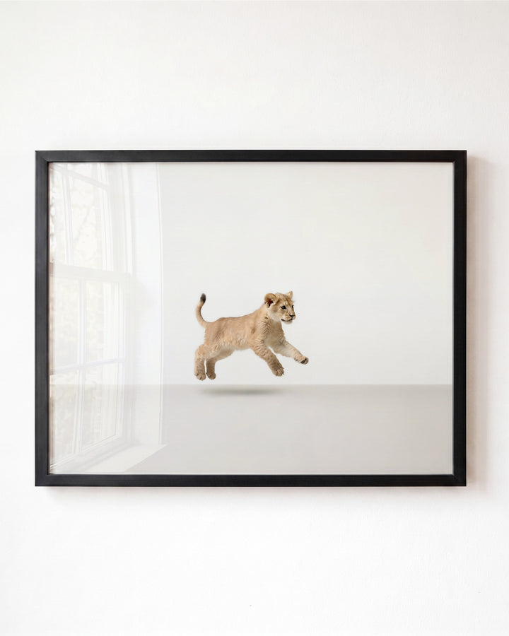 Studio Lion Art Print
