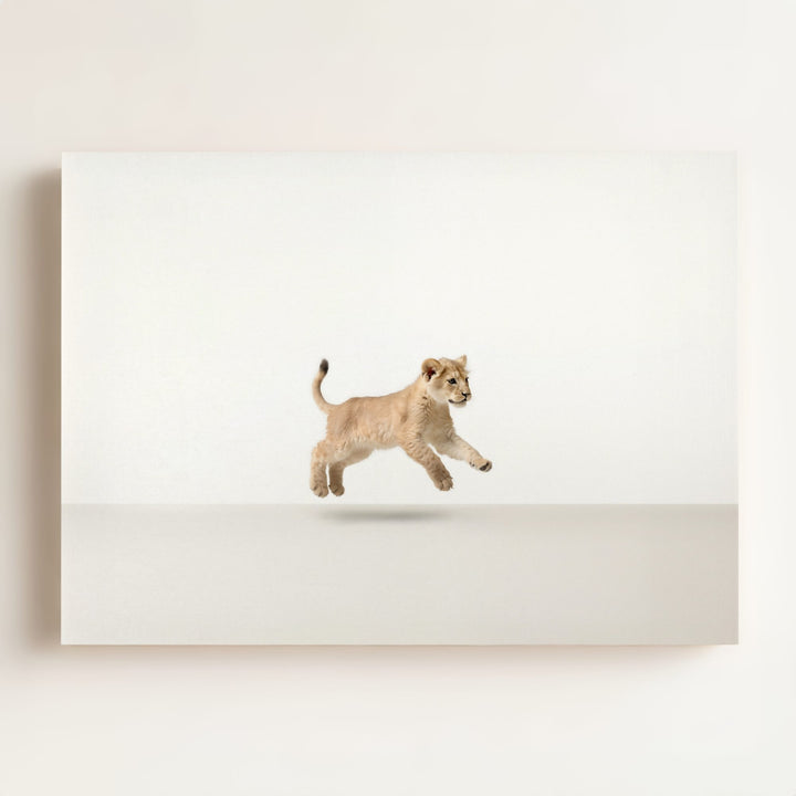 Studio Lion Art Print