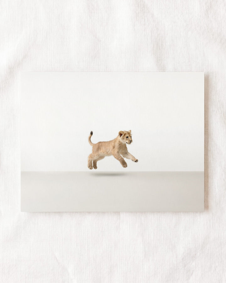 Studio Lion Art Print
