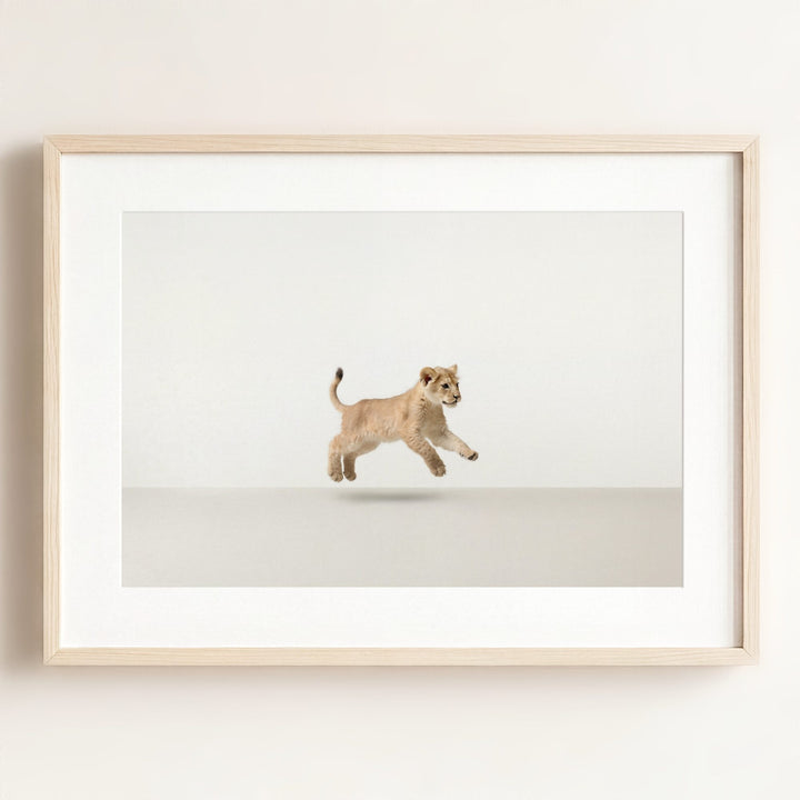 Studio Lion Art Print