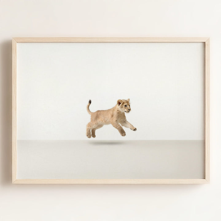 Studio Lion Art Print