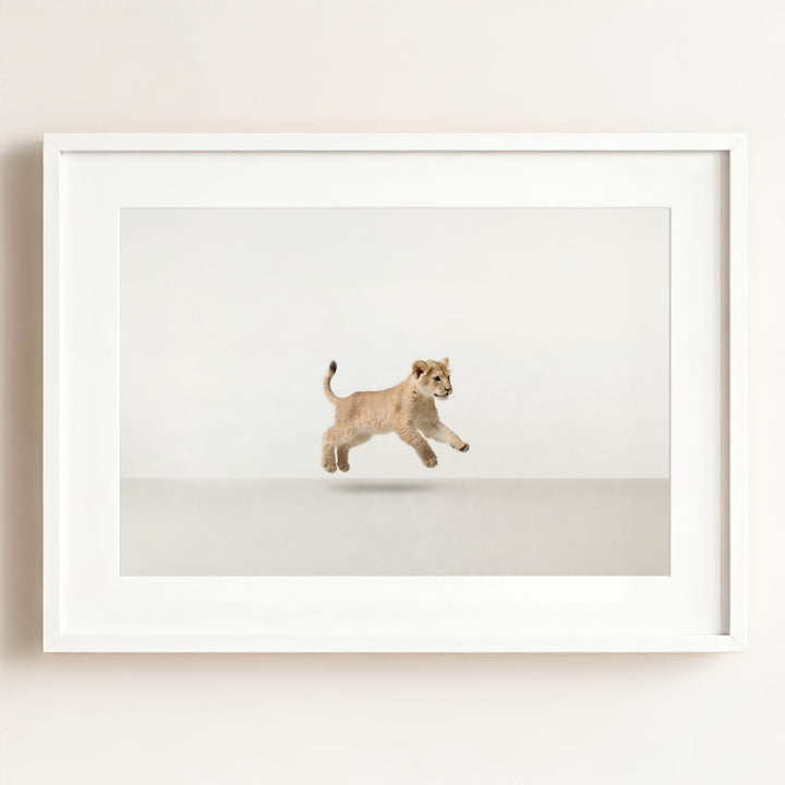 Studio Lion Art Print