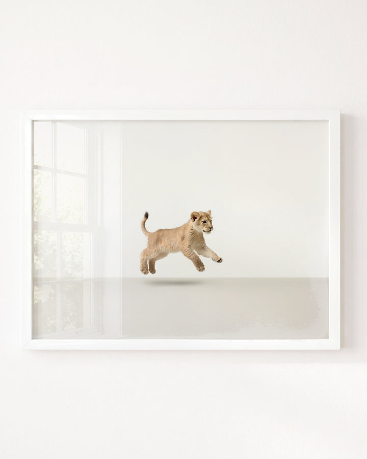 Studio Lion Art Print