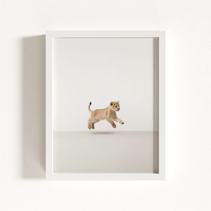 Studio Lion Art Print