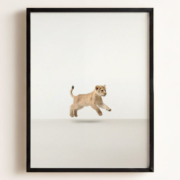 Studio Lion Art Print