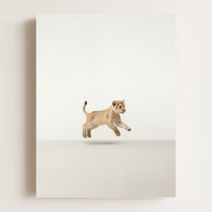 Studio Lion Art Print