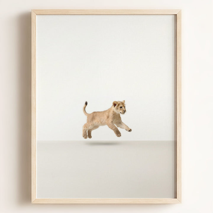 Studio Lion Art Print