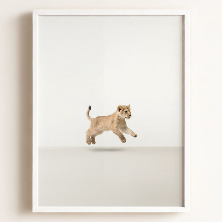 Studio Lion Art Print