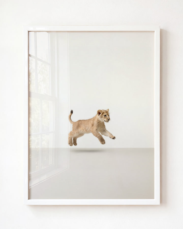 Studio Lion Art Print
