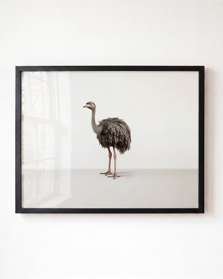 Studio Ostrich Art Print