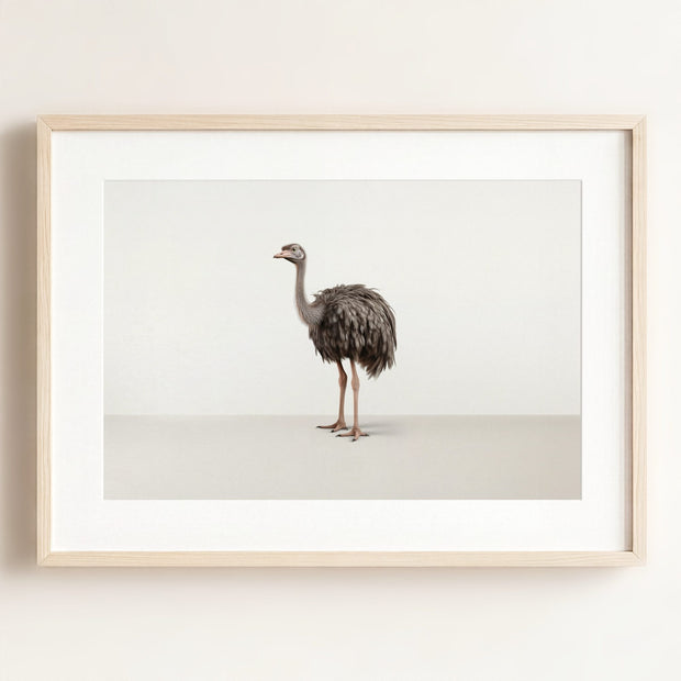 Studio Ostrich Art Print