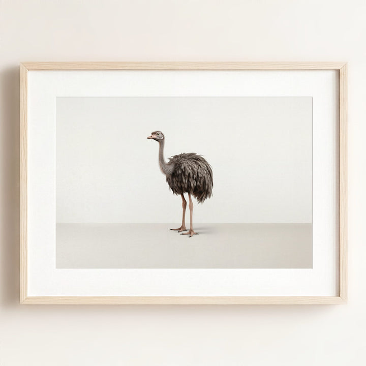 Studio Ostrich Art Print