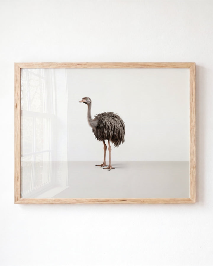 Studio Ostrich Art Print