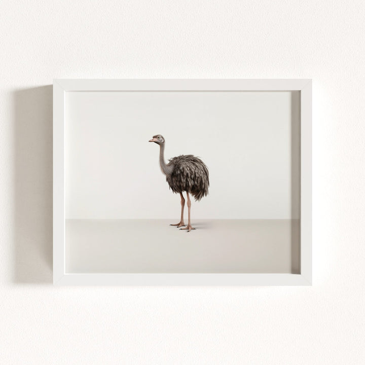 Studio Ostrich Art Print