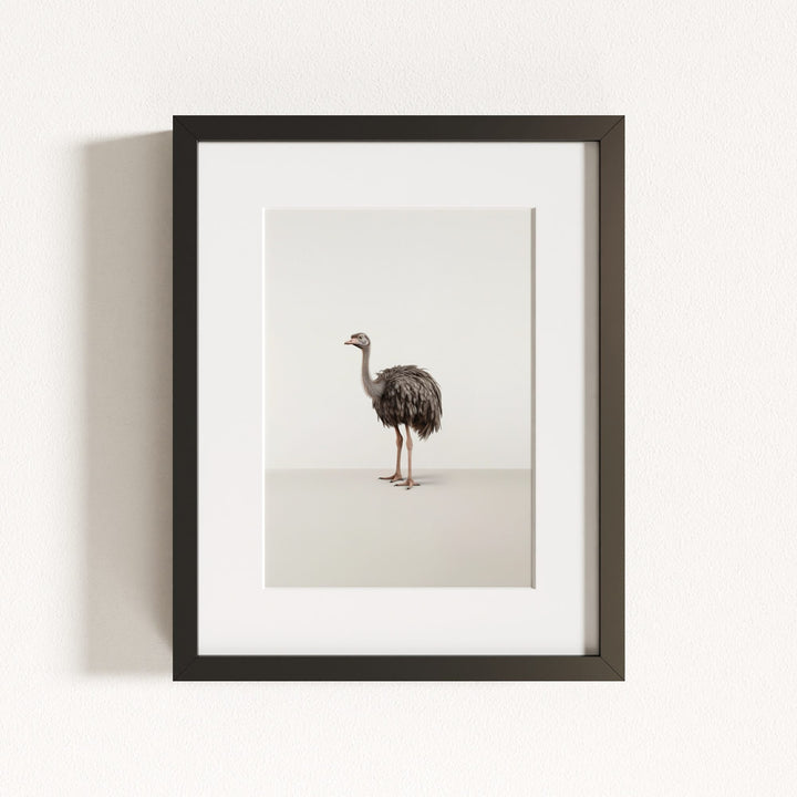 Studio Ostrich Art Print