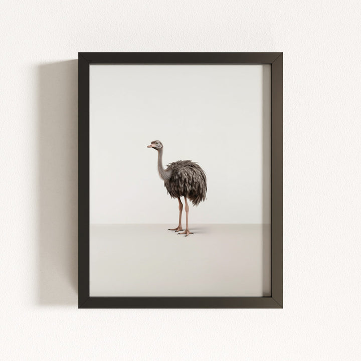 Studio Ostrich Art Print