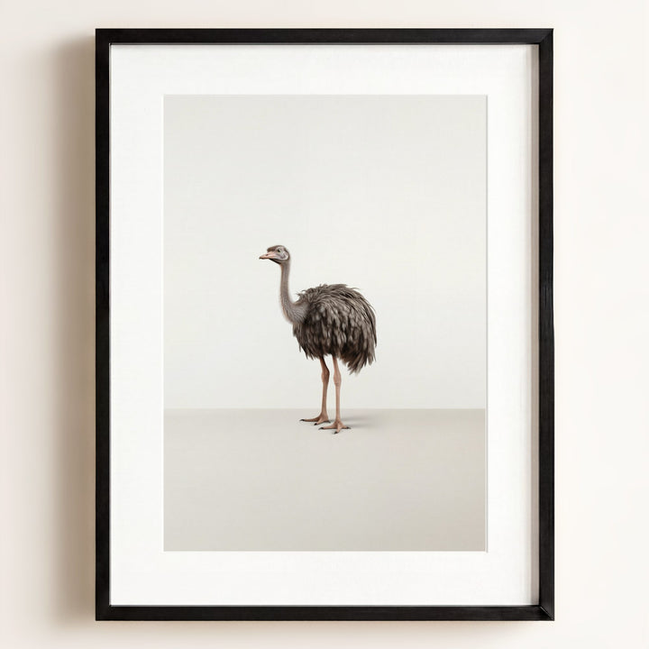 Studio Ostrich Art Print