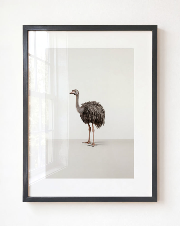 Studio Ostrich Art Print