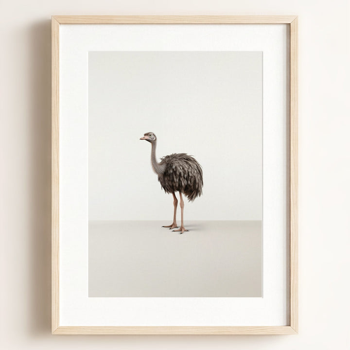 Studio Ostrich Art Print