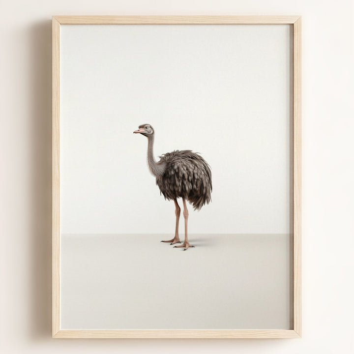 Studio Ostrich Art Print