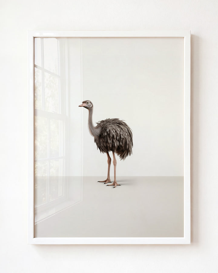Studio Ostrich Art Print