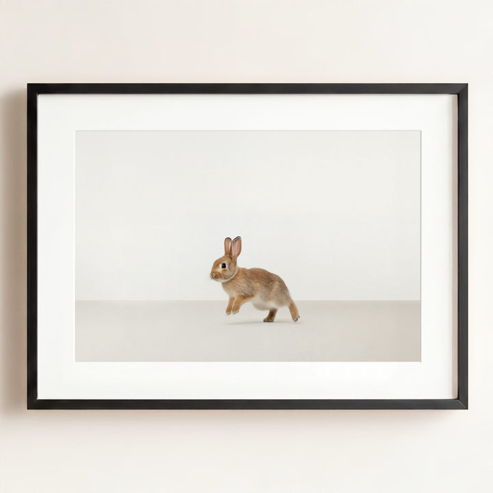 Studio Rabbit Art Print