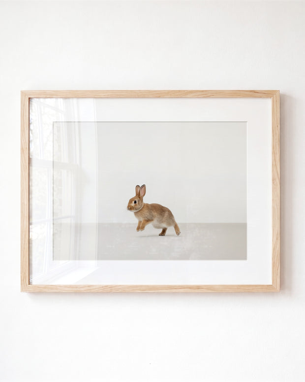 Studio Rabbit Art Print