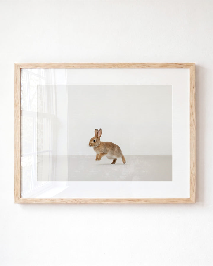 Studio Rabbit Art Print