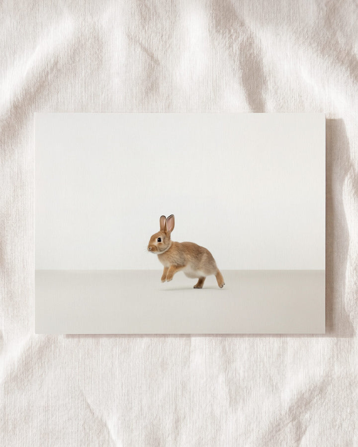 Studio Rabbit Art Print