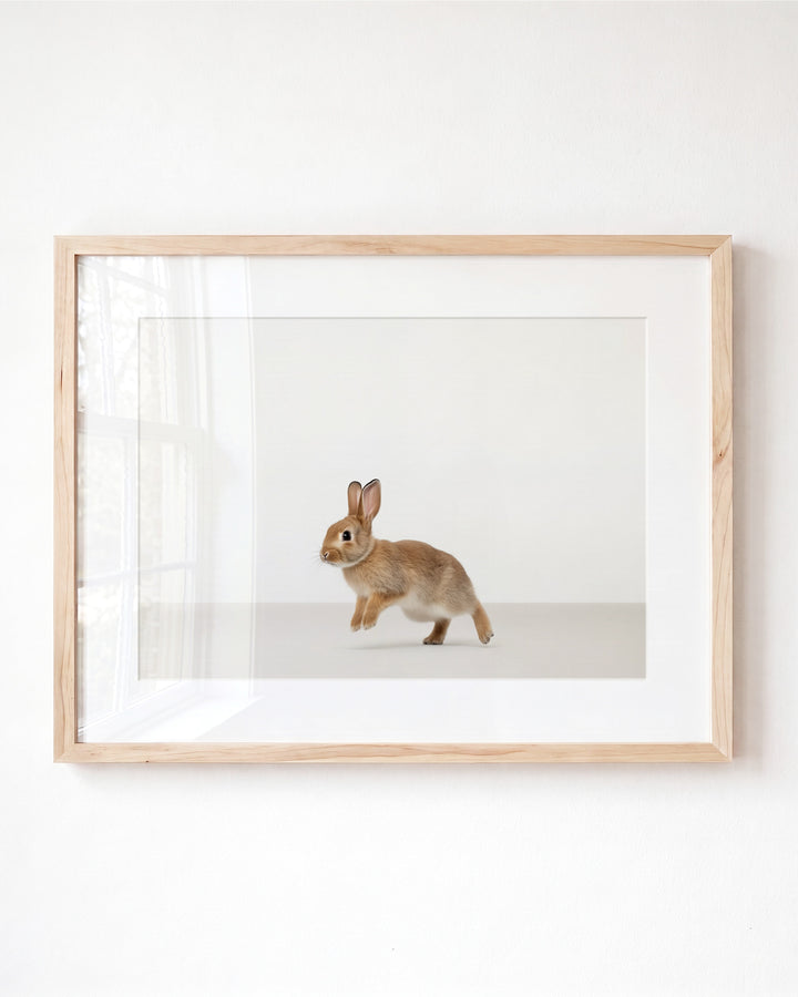 Studio Rabbit Art Print