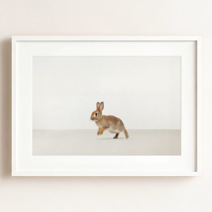 Studio Rabbit Art Print