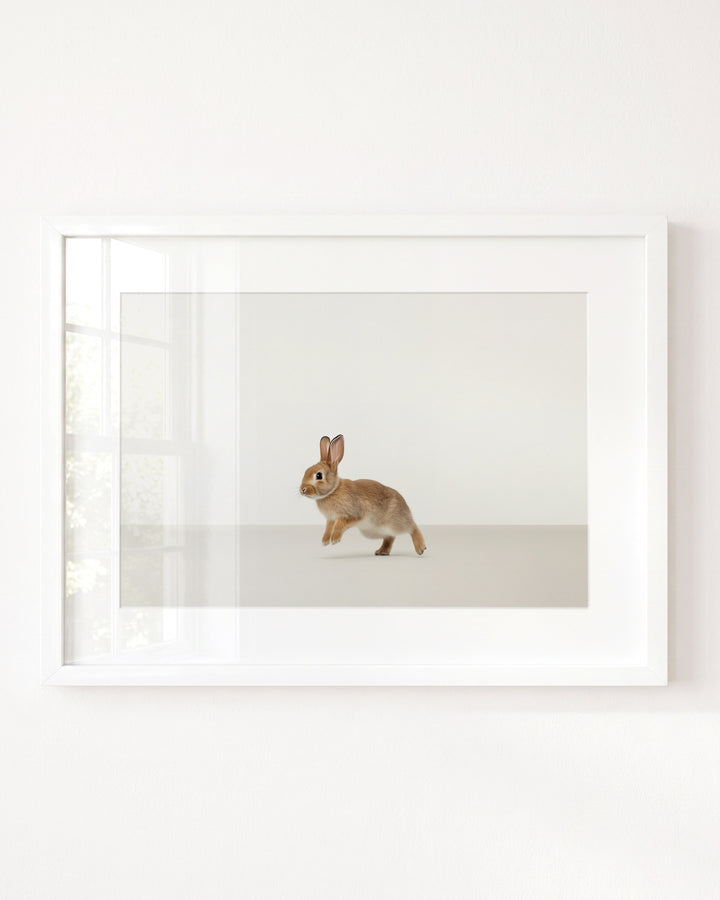 Studio Rabbit Art Print