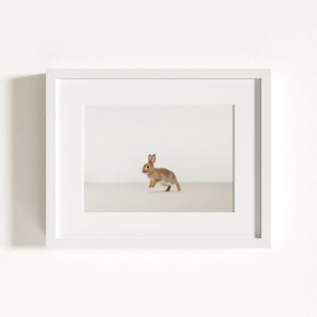 Studio Rabbit Art Print