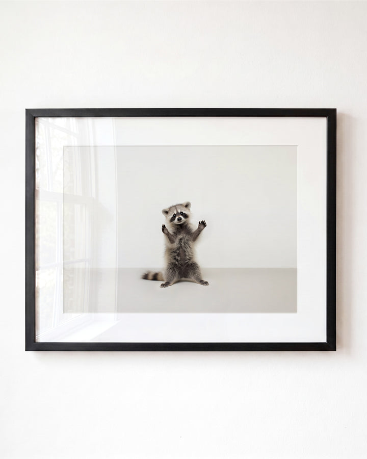 Studio Raccoon Art Print