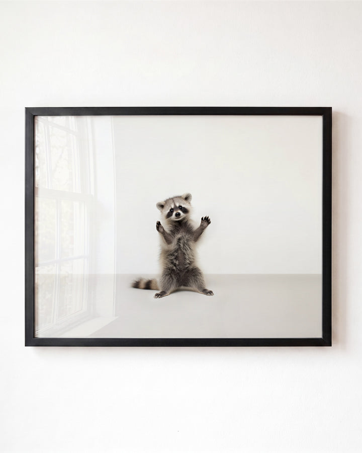 Studio Raccoon Art Print