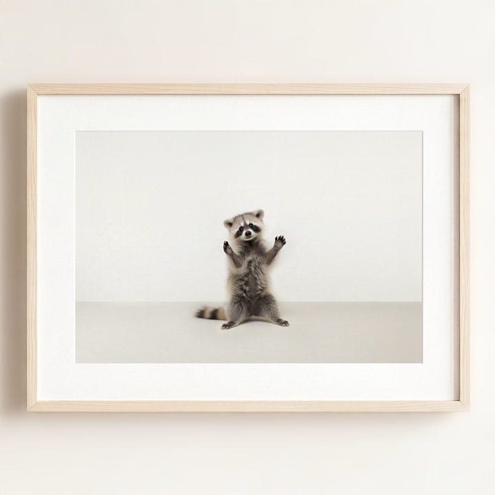 Studio Raccoon Art Print