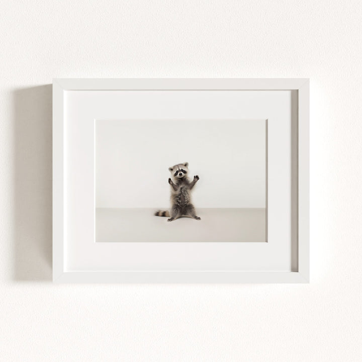 Studio Raccoon Art Print