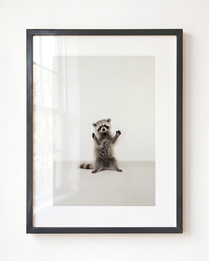 Studio Raccoon Art Print