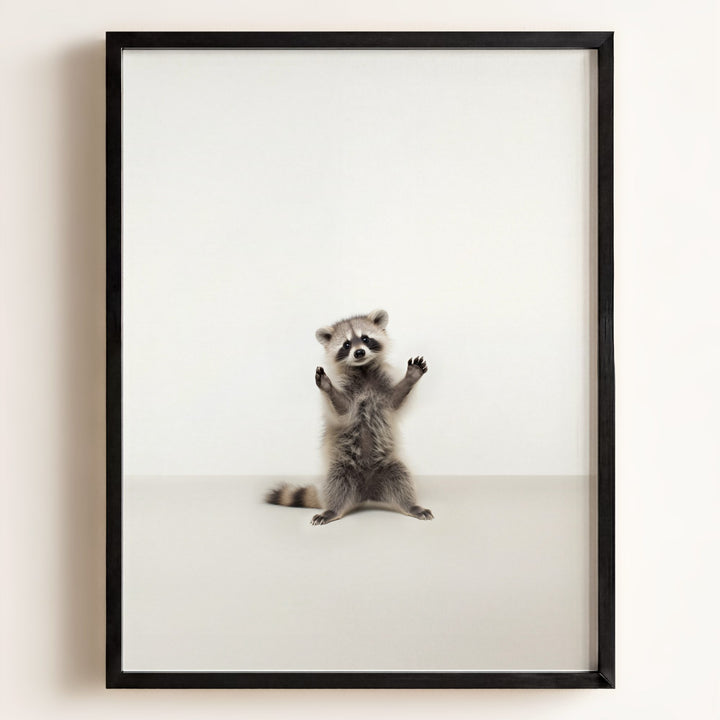 Studio Raccoon Art Print